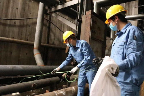 青春在检修现场闪光 公司机关青年突击队助力装置大修，以担当诠释责任